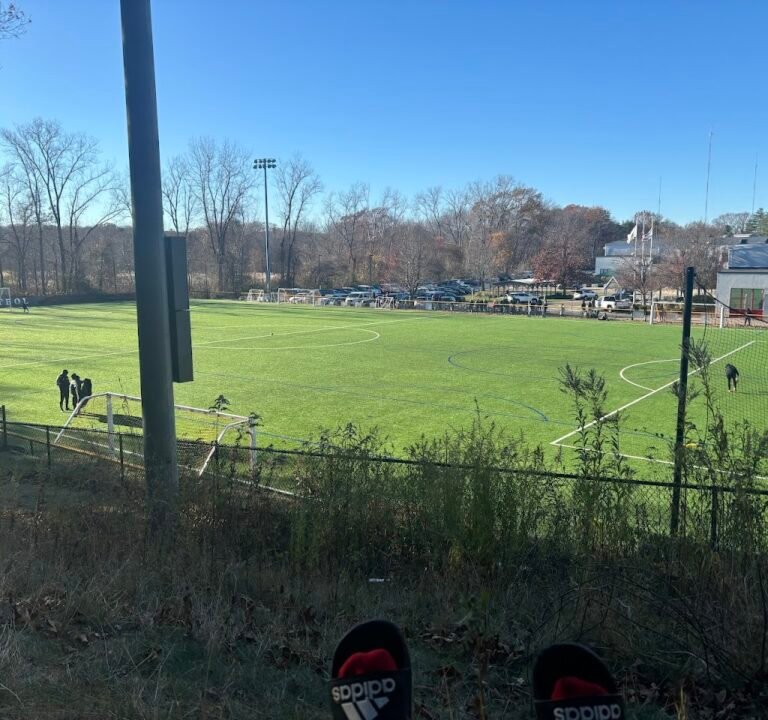 Soccer Field image 2