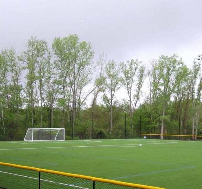 Soccer Field image 4