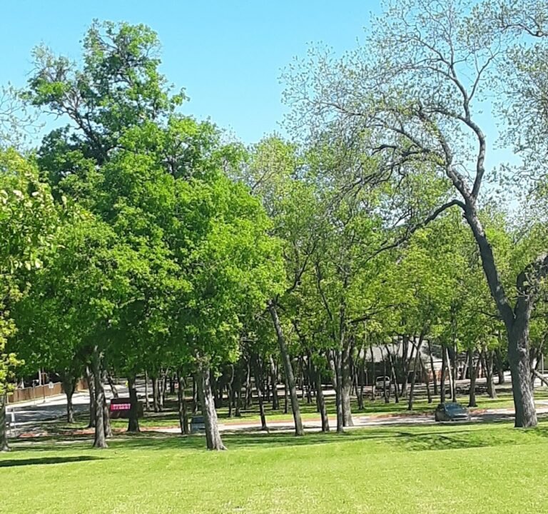 Soccer Field image 3