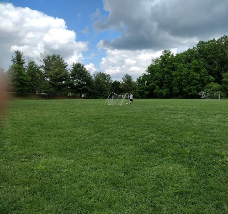 Soccer Field image 2