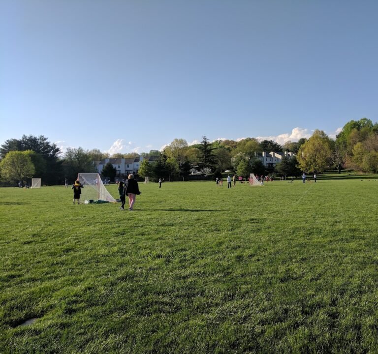 Soccer Field image 2