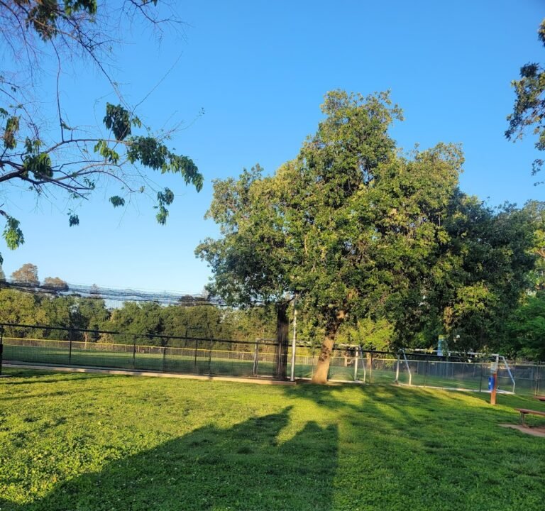 Soccer Field image 2