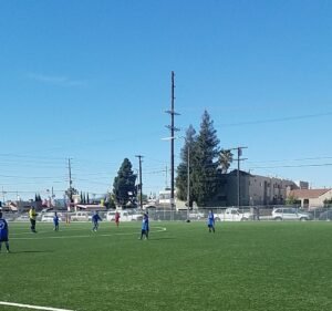 Soccer Field image 2