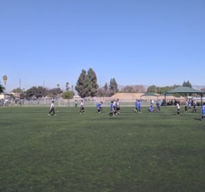 Soccer Field image 3