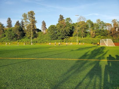 Soccer Field image 1