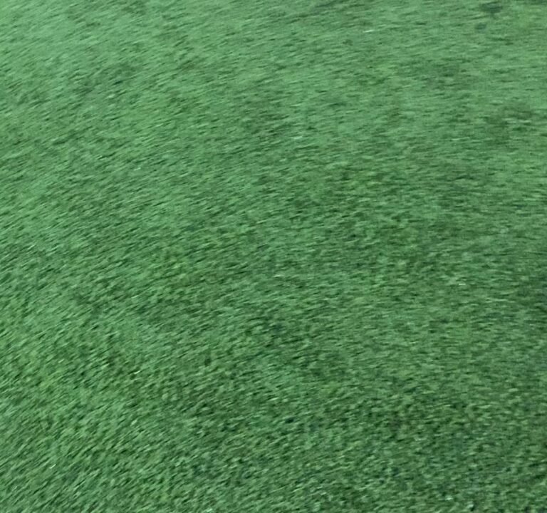 Soccer Field image 4