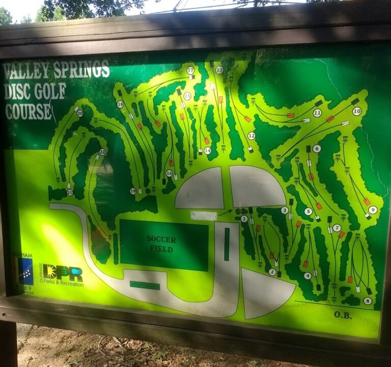 Soccer Field image 2