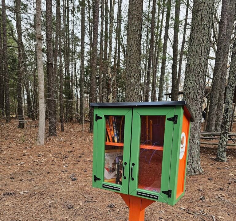 Soccer Field image 3