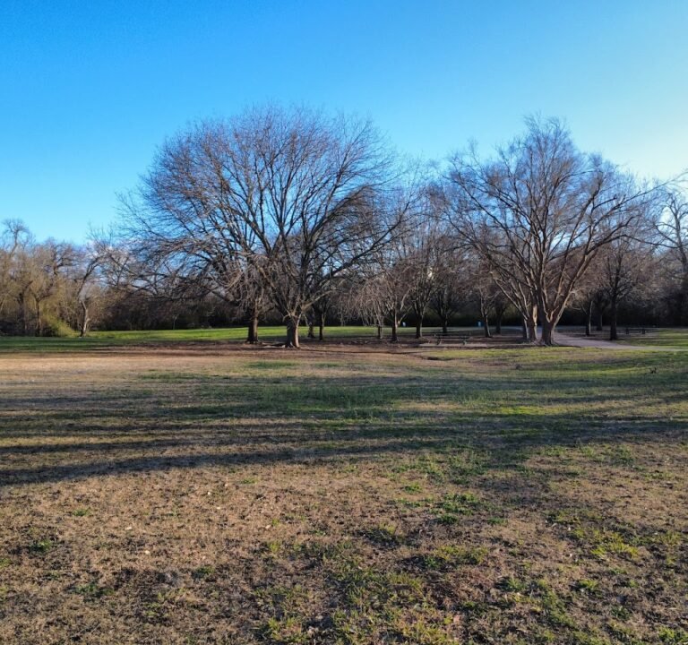 Soccer Field image 2