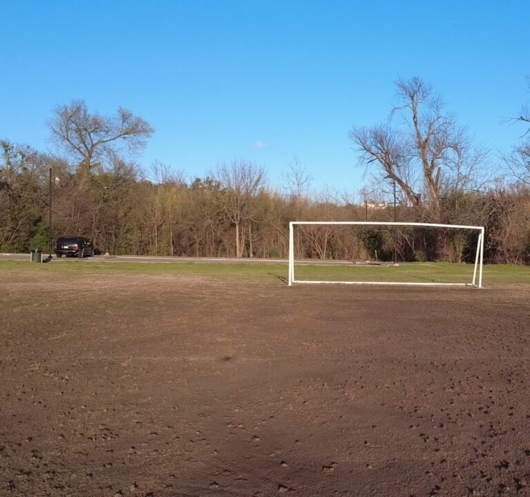 Soccer Field image 3
