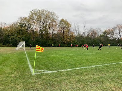 Soccer Field image 1