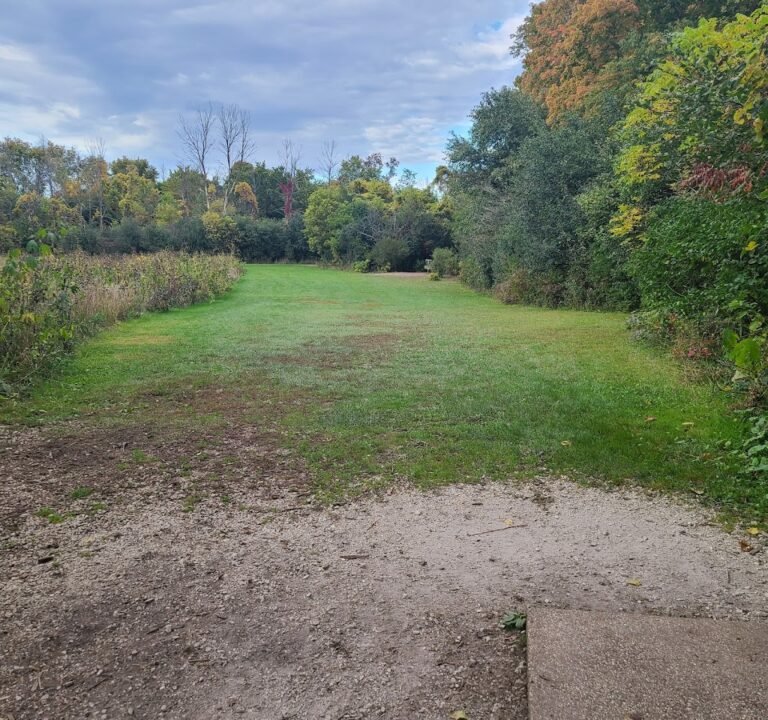 Soccer Field image 3