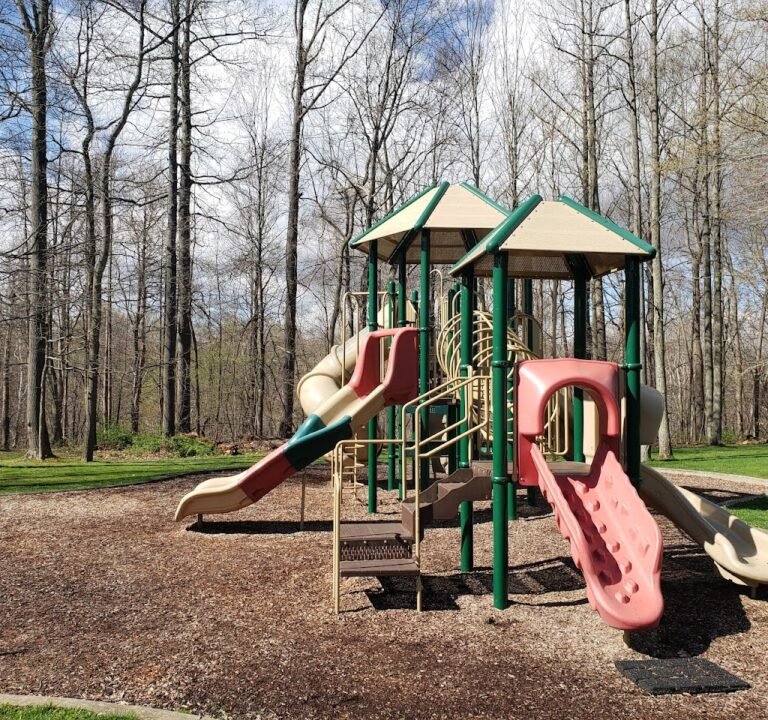 Soccer Field image 2