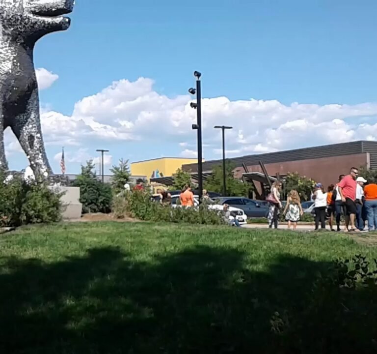 Soccer Field image 4