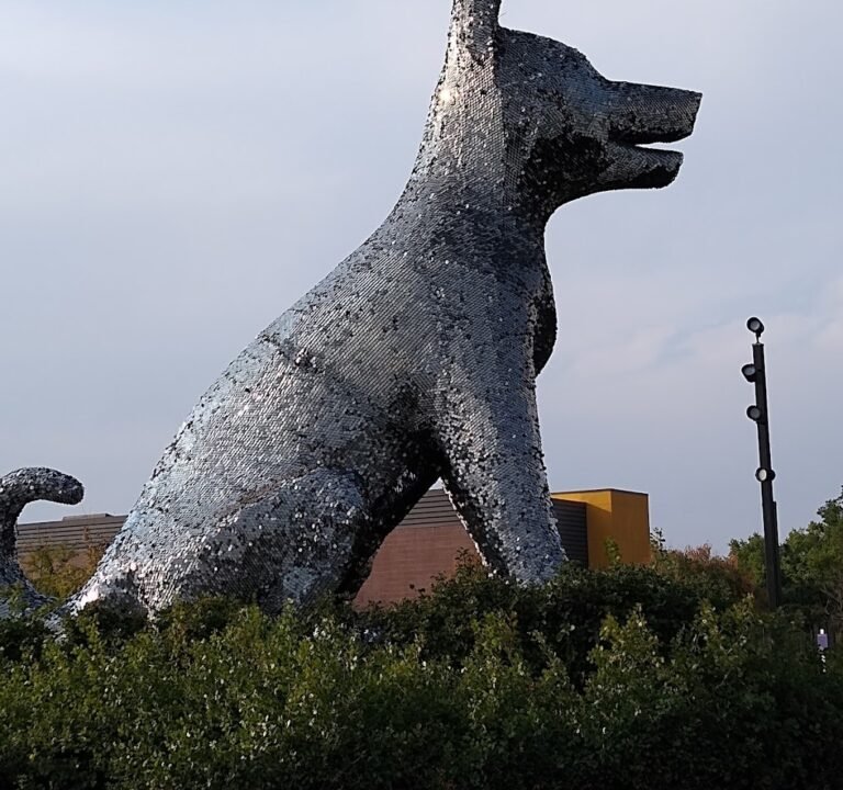 Soccer Field image 2