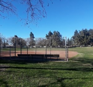 Soccer Field image 2
