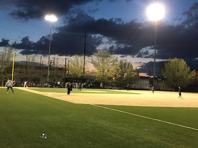 Soccer Field image 1