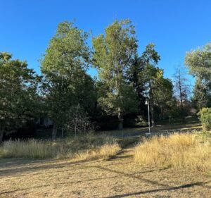 Soccer Field image 2