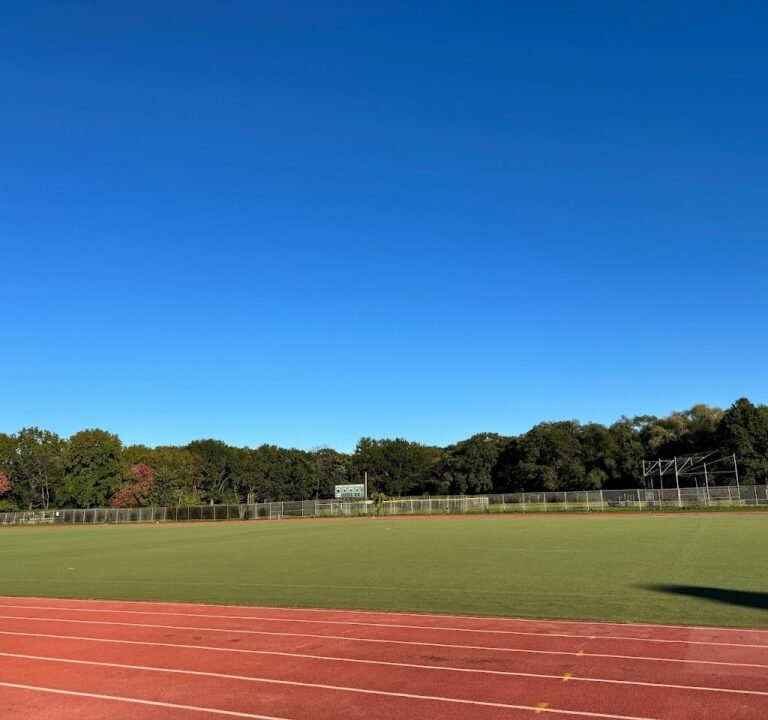 Soccer Field image 2