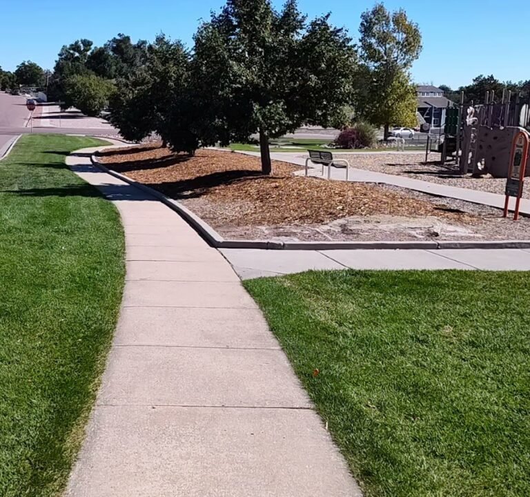 Soccer Field image 4
