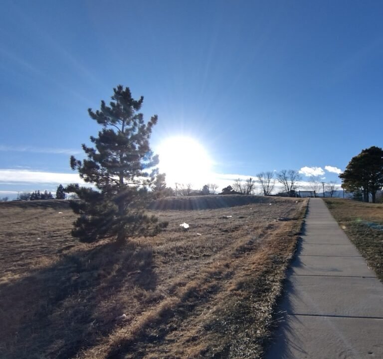 Soccer Field image 2