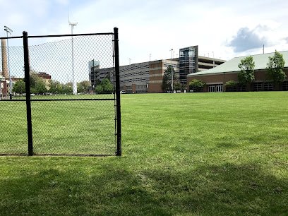 Soccer Field image 1