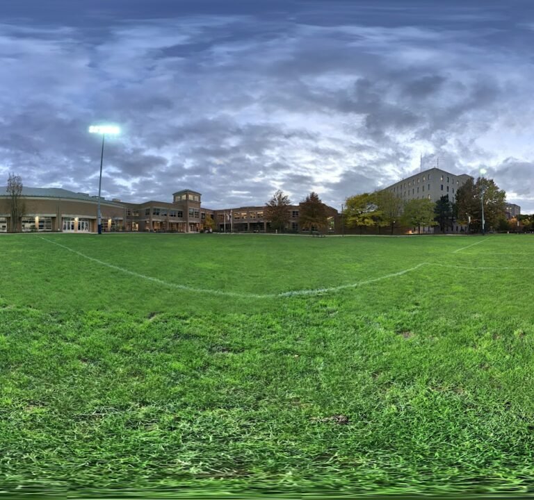 Soccer Field image 3