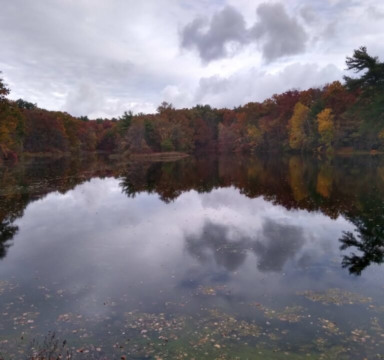 Soccer Field image 2