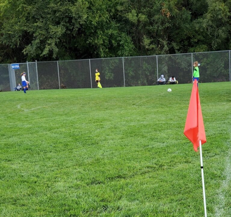 Soccer Field image 2