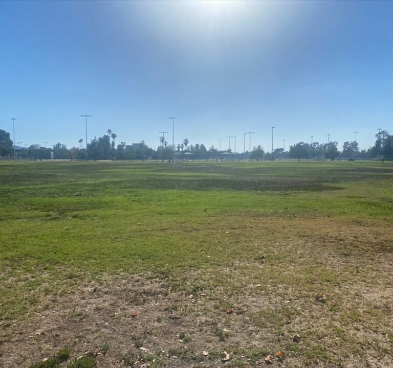 Soccer Field image 2
