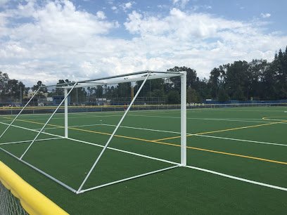 Soccer Field image 1