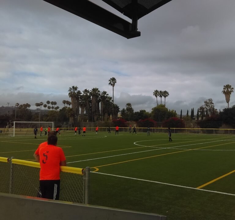 Soccer Field image 3