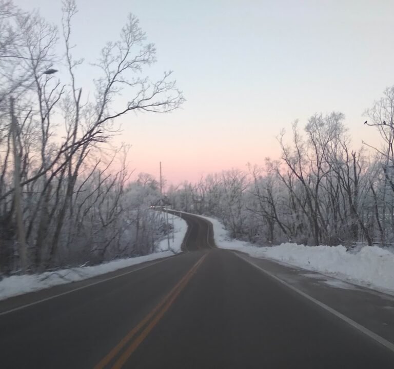 Soccer Field image 2