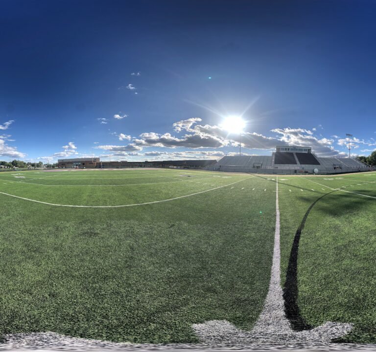 Soccer Field image 2