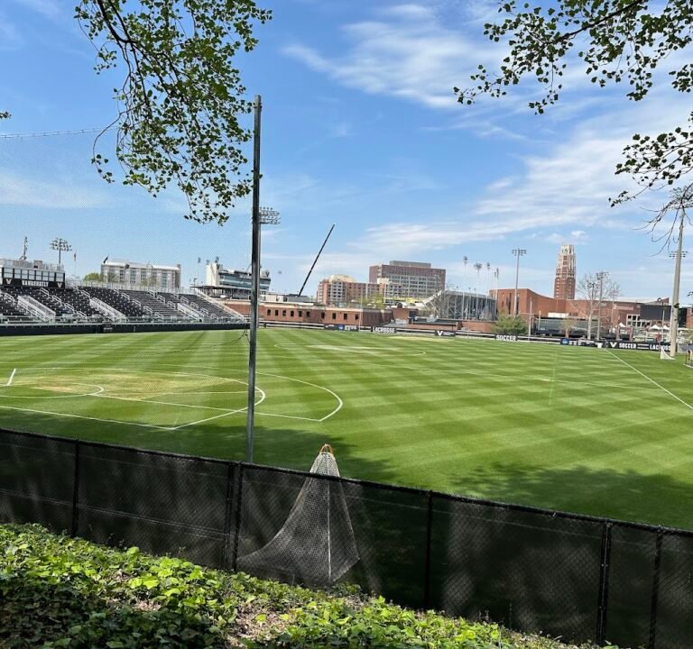 Soccer Field image 2