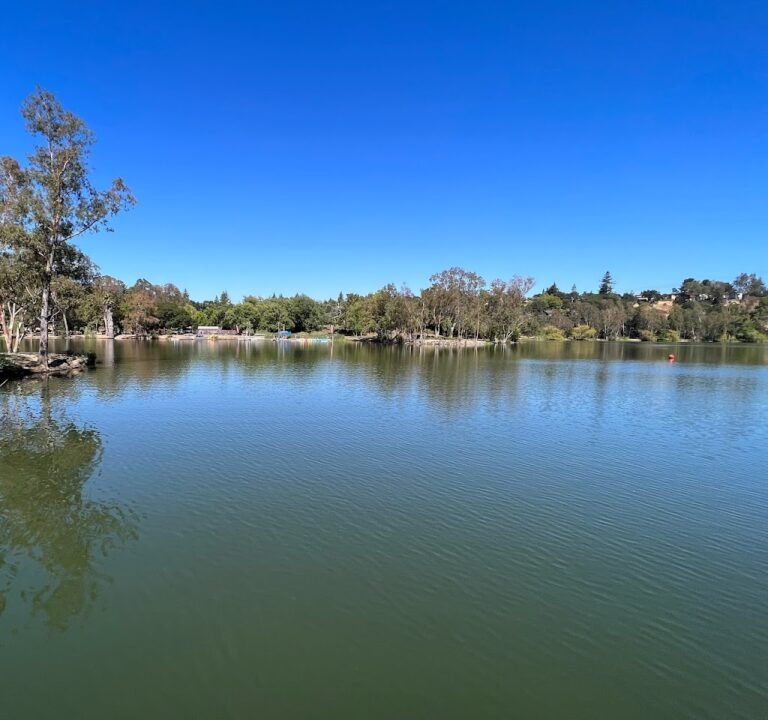 Soccer Field image 2