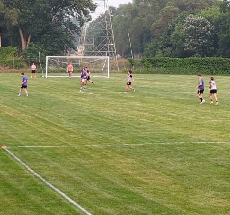 Soccer Field image 2
