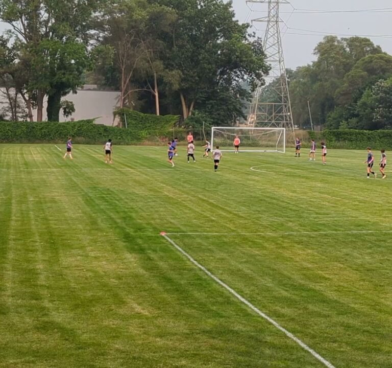 Soccer Field image 3