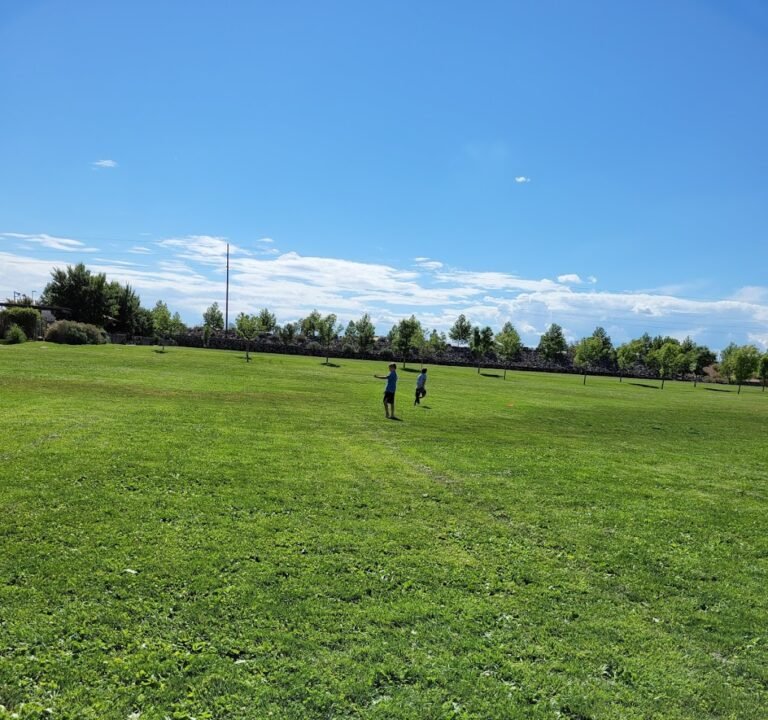 Soccer Field image 2