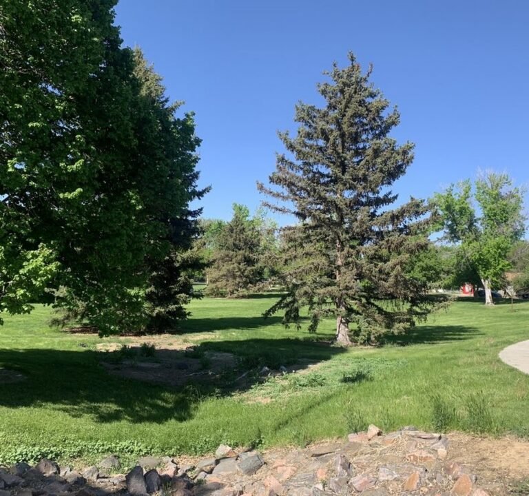 Soccer Field image 2