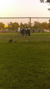 Soccer Field image 1