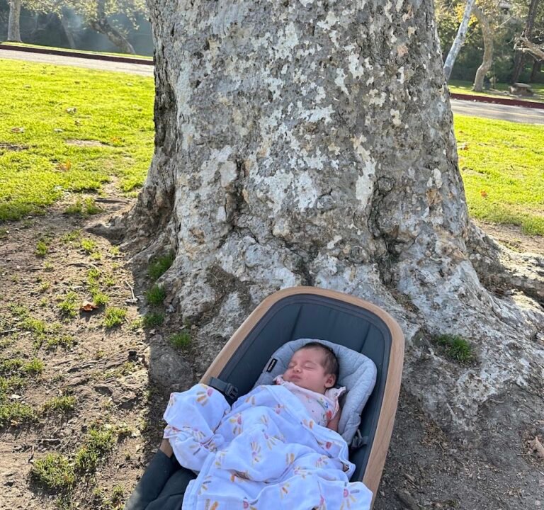 Soccer Field image 3