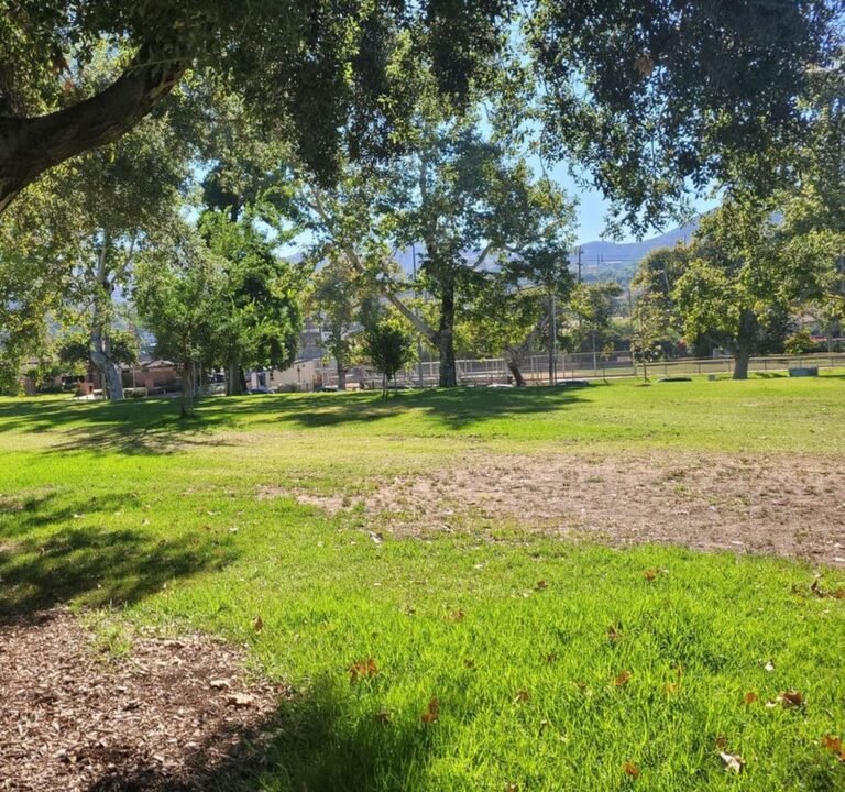 Soccer Field image 2