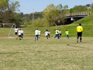 Soccer Field image 1