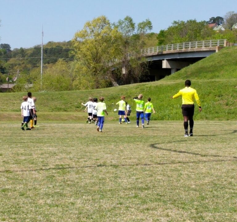 Soccer Field image 2