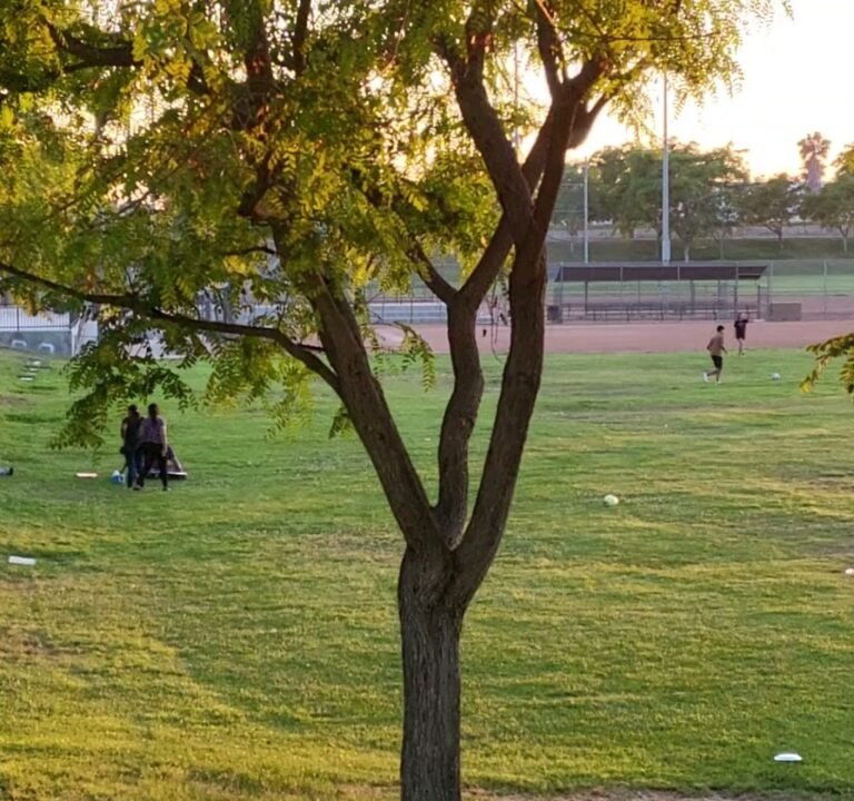 Soccer Field image 3