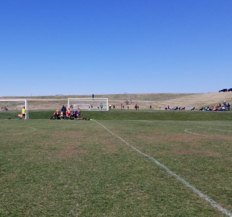 Soccer Field image 2