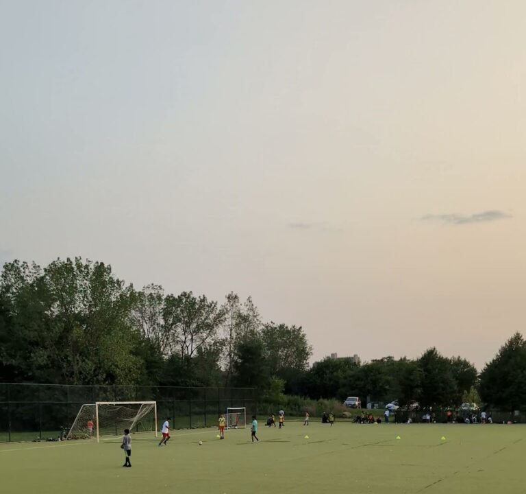 Soccer Field image 4
