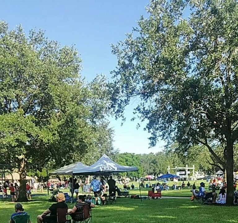 Soccer Field image 4