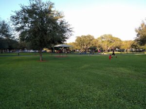 Soccer Field image 1
